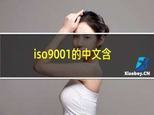 iso9001的中文含义