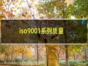 iso9001系列质量体系认证