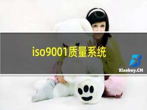 iso9001质量系统