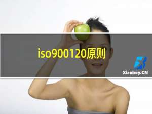 iso9001 原则