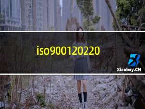 iso9001 2200