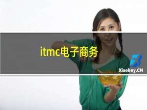 itmc电子商务