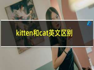 kitten和cat英文区别