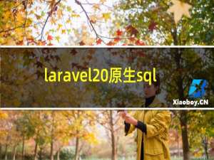 laravel 原生sql