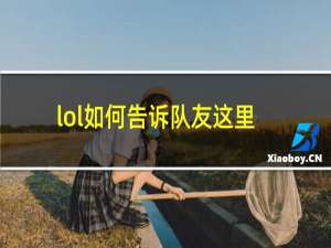 lol如何告诉队友这里有眼