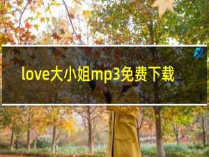 love大小姐mp3免费下载