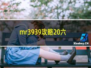 mr3939攻略 六