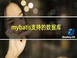 mybatis支持的数据库