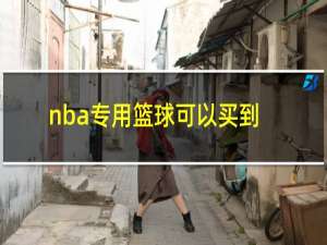 nba专用篮球可以买到吗