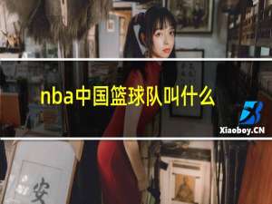 nba中国篮球队叫什么名字