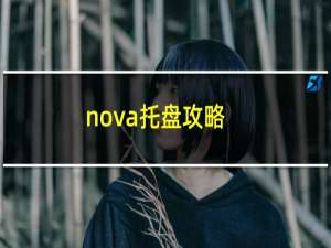 nova托盘攻略