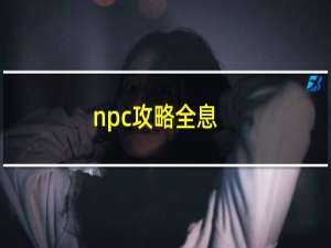 npc攻略全息