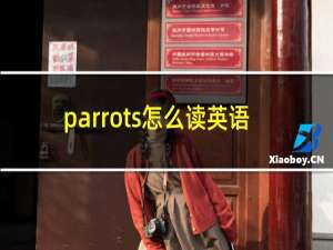 parrots怎么读英语
