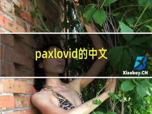 paxlovid的中文名是什么