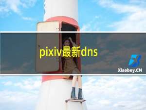 pixiv最新dns