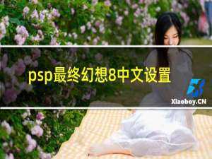 psp最终幻想8中文设置