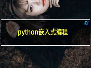 python嵌入式编程