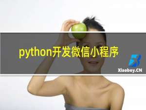 python开发微信小程序