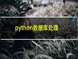 python数据库处理