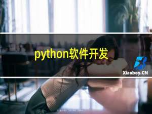 python软件开发