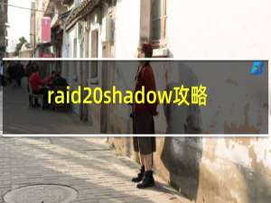 raid shadow攻略