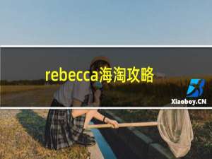 rebecca海淘攻略