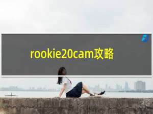 rookie cam攻略