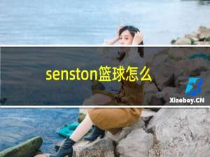 senston篮球怎么样