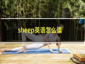sheep英语怎么读