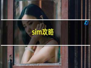 sim攻略