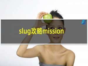 slug攻略mission