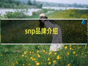 snp品牌介绍
