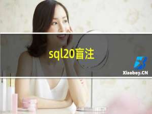 sql 盲注