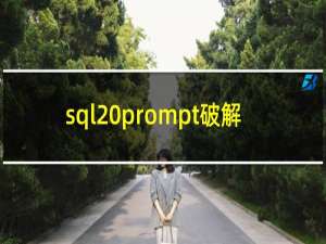 sql prompt破解