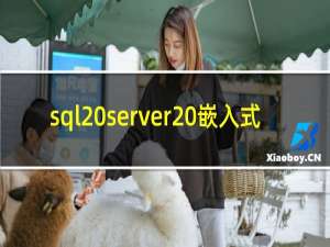 sql server 嵌入式