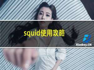 squid使用攻略