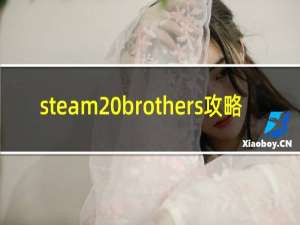steam brothers攻略
