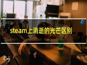 steam上消逝的光芒区别