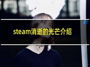 steam消逝的光芒介绍