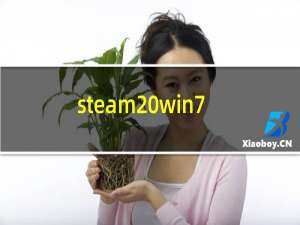 steam win7