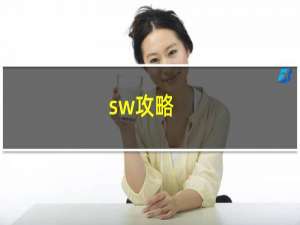 sw攻略