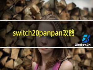 switch panpan攻略