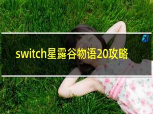 switch星露谷物语 攻略