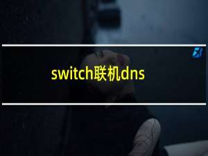 switch联机dns