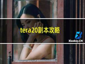 tera 副本攻略