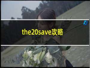 the save攻略
