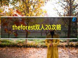 theforest双人 攻略