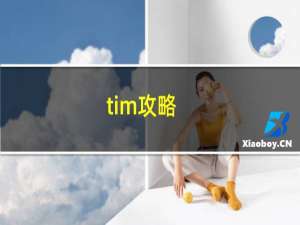 tim攻略