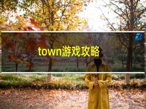 town游戏攻略