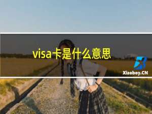 visa卡是什么意思